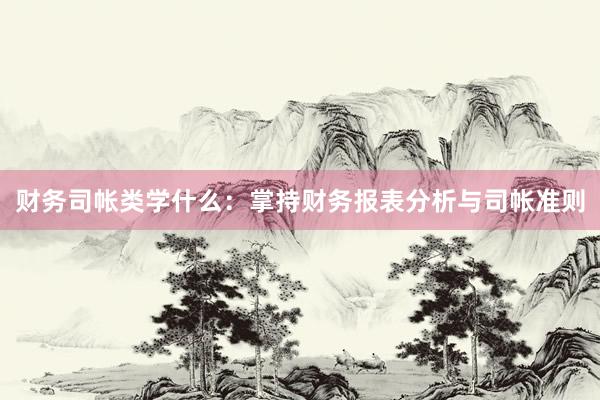 财务司帐类学什么：掌持财务报表分析与司帐准则