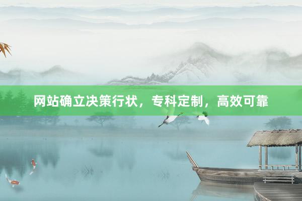 网站确立决策行状，专科定制，高效可靠