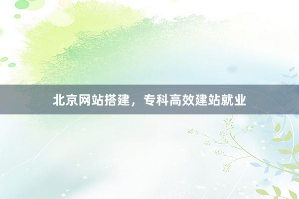 北京网站搭建，专科高效建站就业