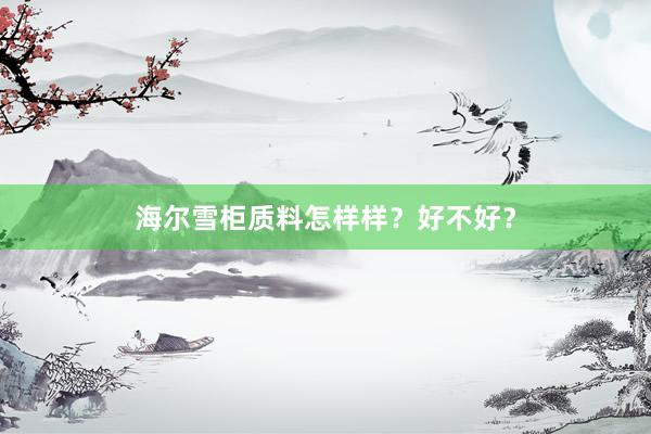 海尔雪柜质料怎样样？好不好？