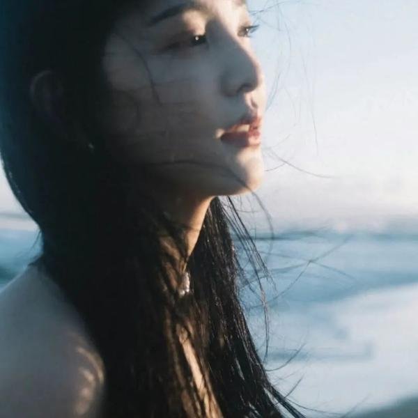 我的姐姐是大帅